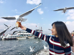 一根藤上七朵花！MBA和他的六個(gè)小兄弟