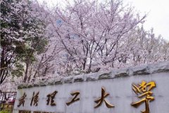 廣東MBA考研調(diào)劑武漢理工大學(xué)有什么條件？