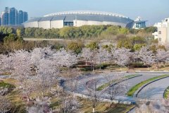 2022年MBA項目復(fù)試網(wǎng)申流程 上海對外經(jīng)貿(mào)大學